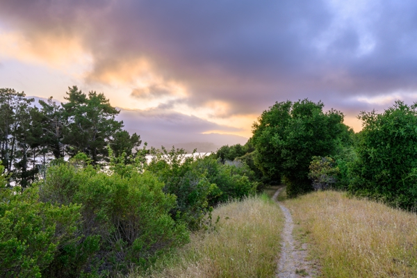 New Landscapes